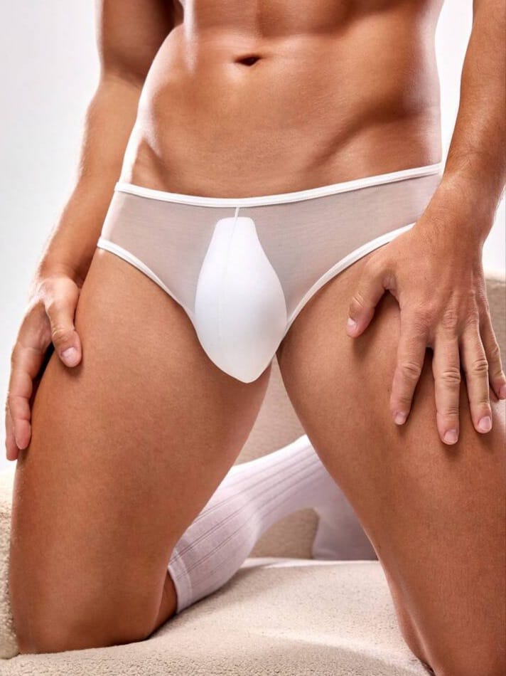Men's Sheer Mesh Briefs